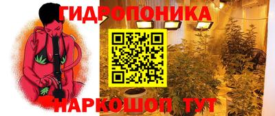 амф Ярцево