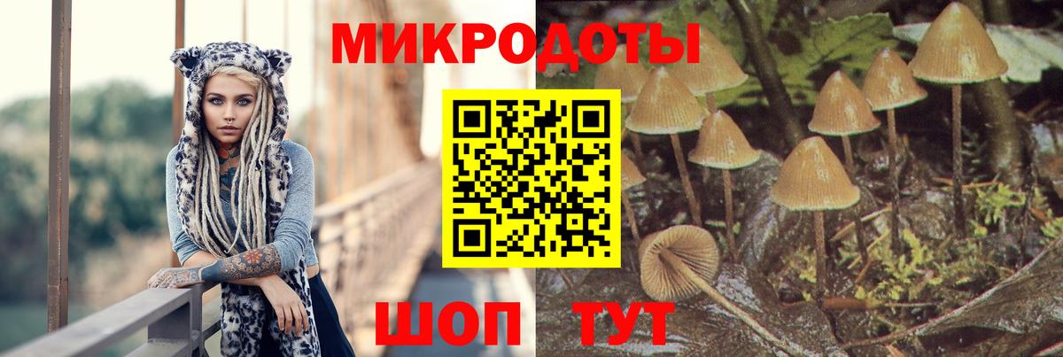 Нижневартовск  Псилоцибиновые грибы мухоморы  Вход с VPN 